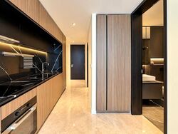 Irwell Hill Residences (D9), Apartment #626345771